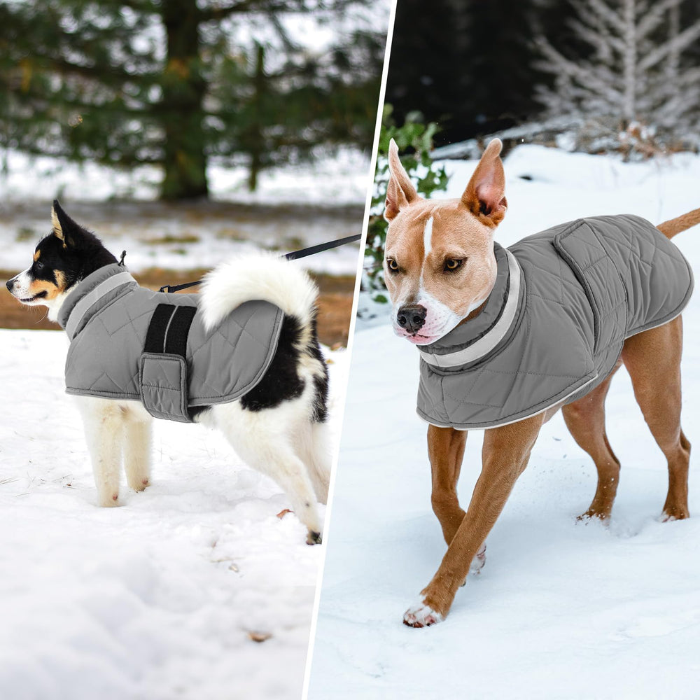 KAMA BRIDAL manteau chien avec trou pour la laisse, promenade pratique.