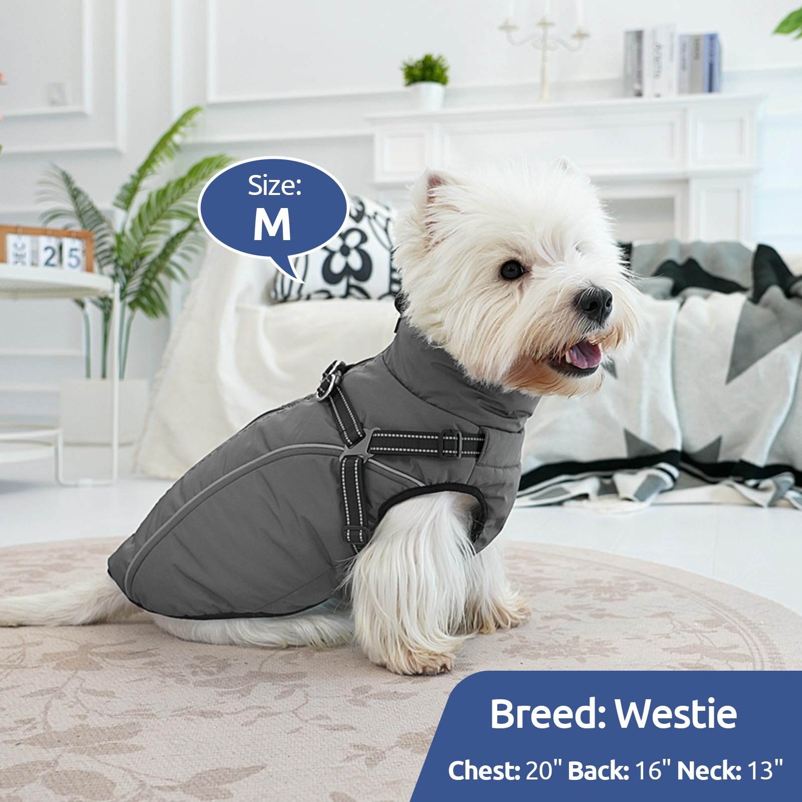 KAMA BRIDAL manteau hiver chien — guide des tailles pour choisir facilement.