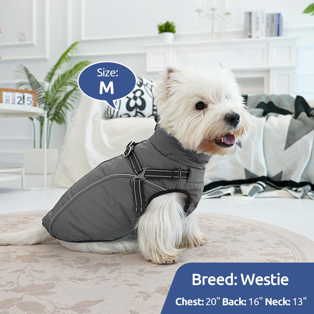 KAMA BRIDAL manteau hiver chien — guide des tailles pour choisir facilement.