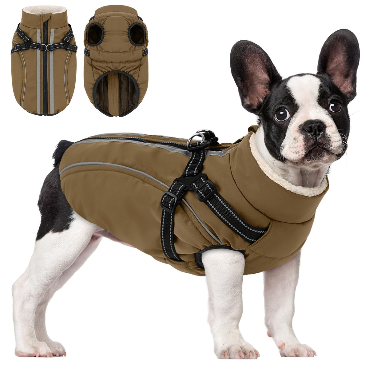 Manteau d'hiver pour chien avec harnais intégré Kama Bridal, chaleur et praticité en balade.