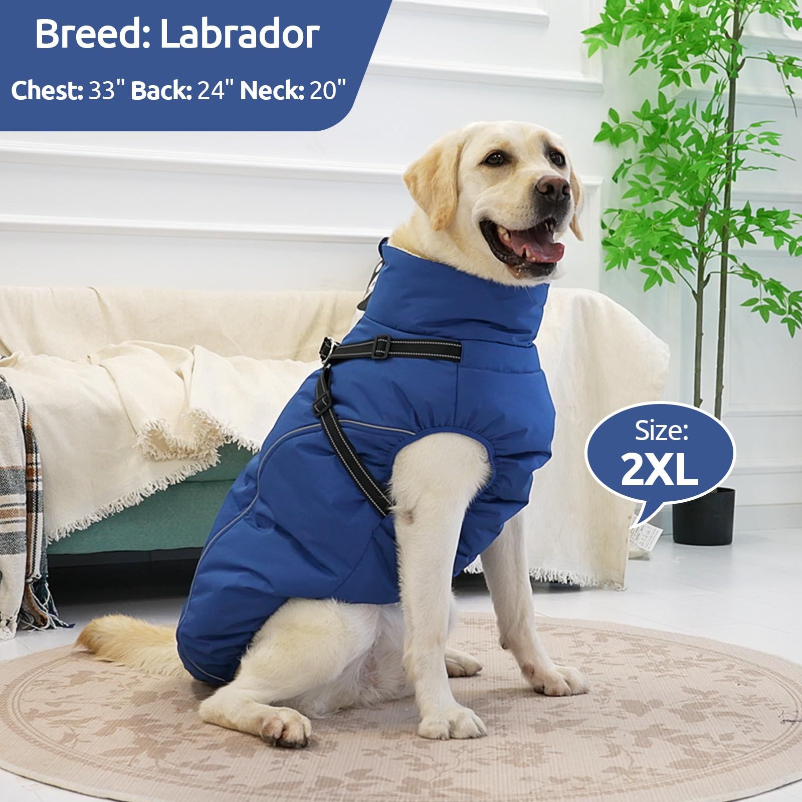 Sécurité nocturne avec bandes réfléchissantes sur le manteau KAMA BRIDAL pour chien.