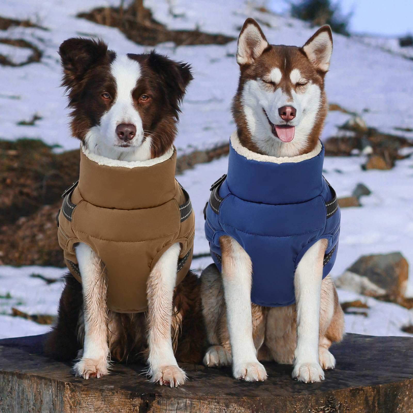 Manteau d’hiver 2XL pour chien par KAMA BRIDAL, dimensions poitrine ~90 cm.