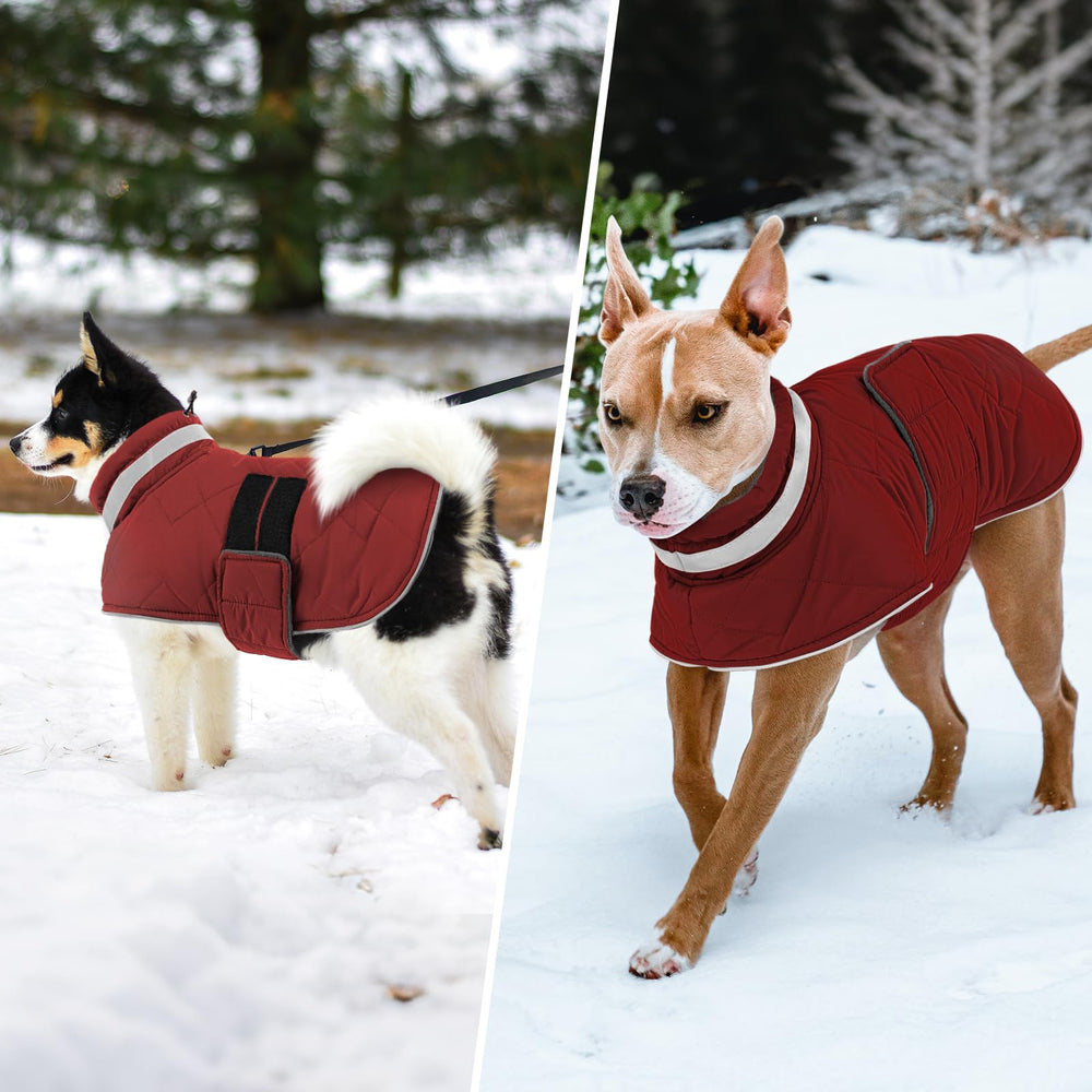 Manteau hiver Kama Bridal, enfilage rapide pour chien rouge lors des sorties quotidiennes.