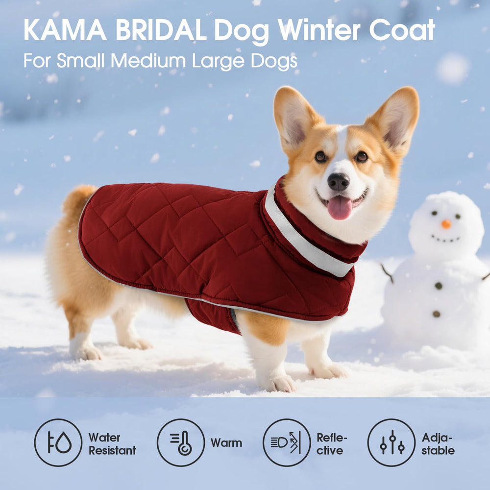 Manteau velours Kama Bridal pour chien rouge, texture agréable et look élégant.