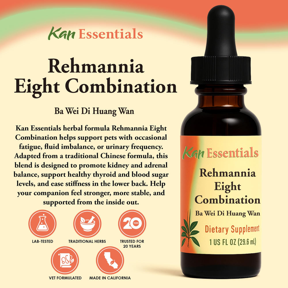 Kan Herb Rehmannia Eight gouttes avec pipette doseuse, dosage facile pour chiens et chats.