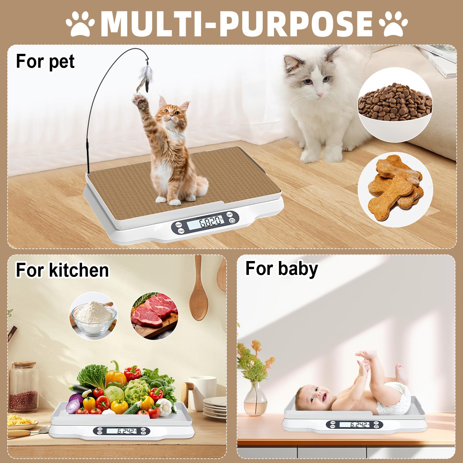 Kanmeii fiches santé pour animaux, suivi simple des visites vétérinaires.