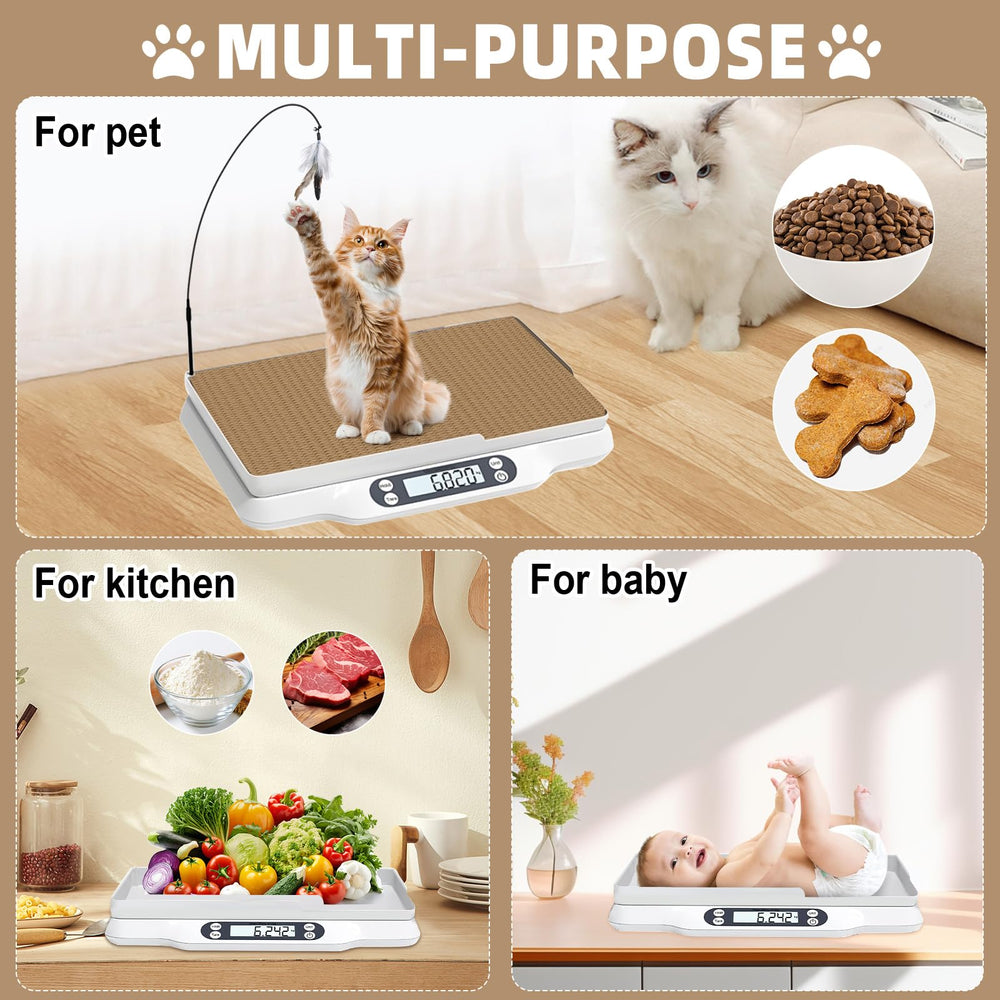 Kanmeii fiches santé pour animaux, suivi simple des visites vétérinaires.