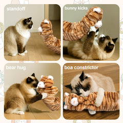 Poisson catnip Kapawze, stimulant les instincts de chasse et le divertissement du chat.