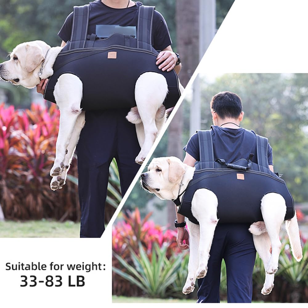 Karlak bandes reflechissantes augmentent la visibility lors des promenades.