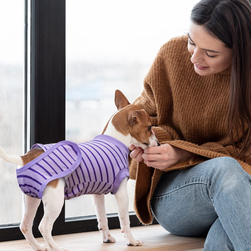 Karoku tenue post-chirurgie chat couleur violet et confort quotidien.