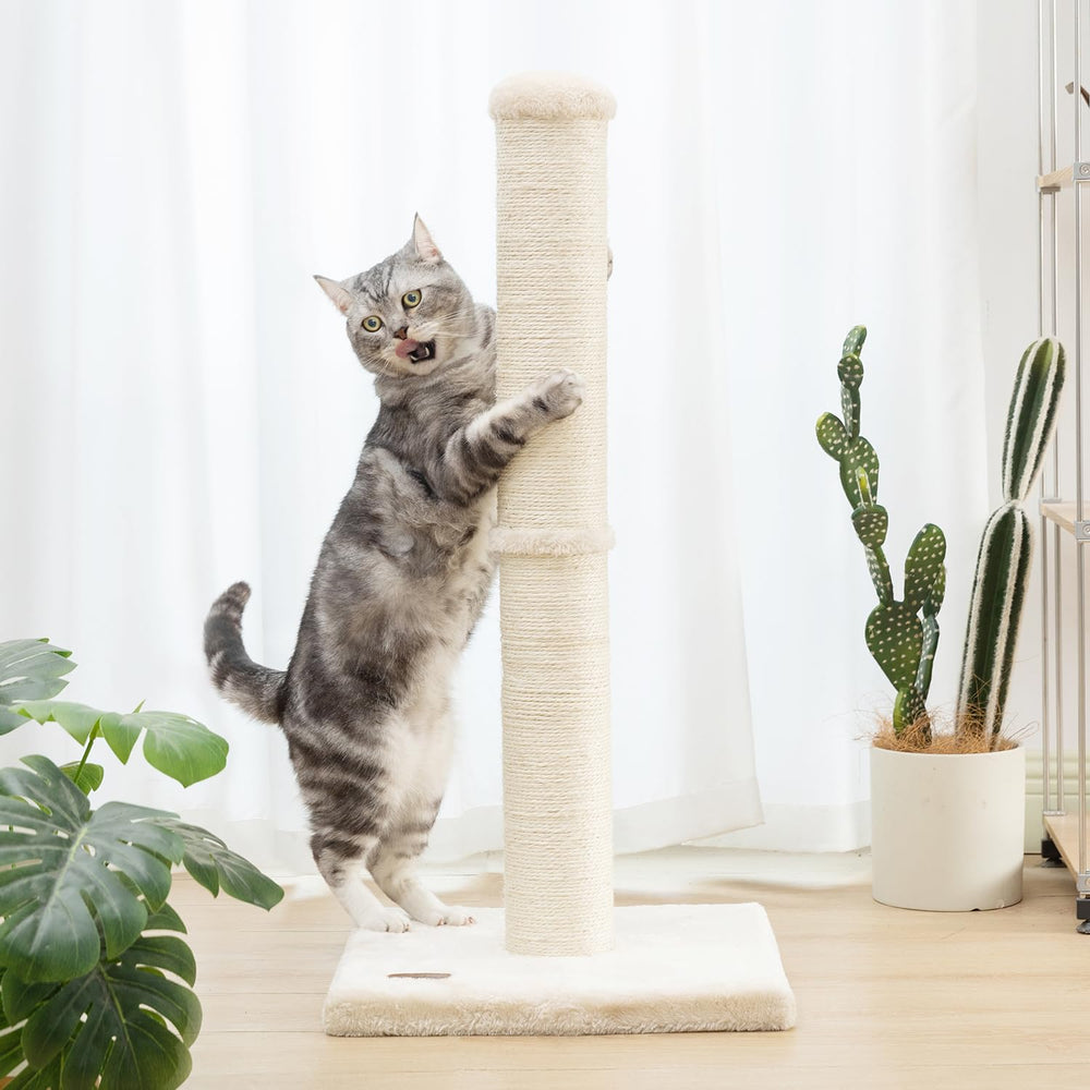 Karolpar griffoir-chat-interieur-beige – installation facile dans le salon