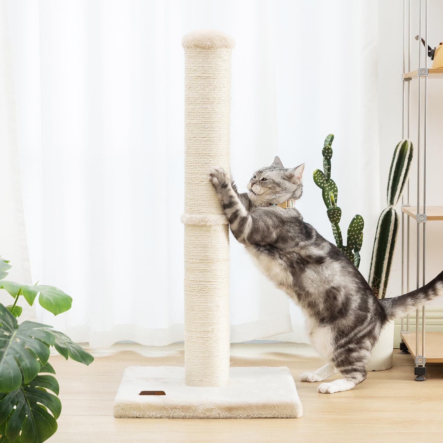 Karolpar base-griffoir-chat-beige – structure stable pour sessions répétées