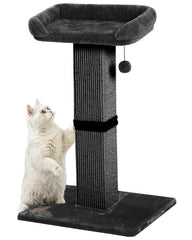Karolpar colonne griffage chat hauteur 32 pouces, étirement complet et griffage durable.