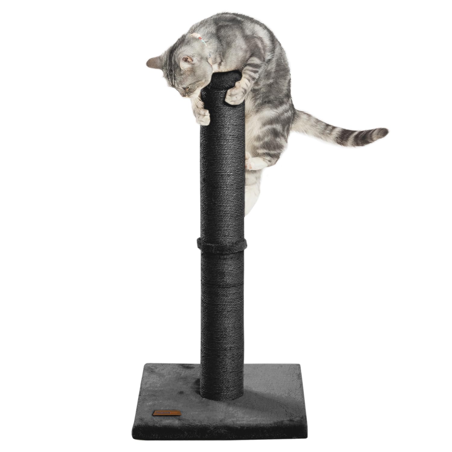 Karolpar solution durable pour l'épanouissement des chats d'intérieur.
