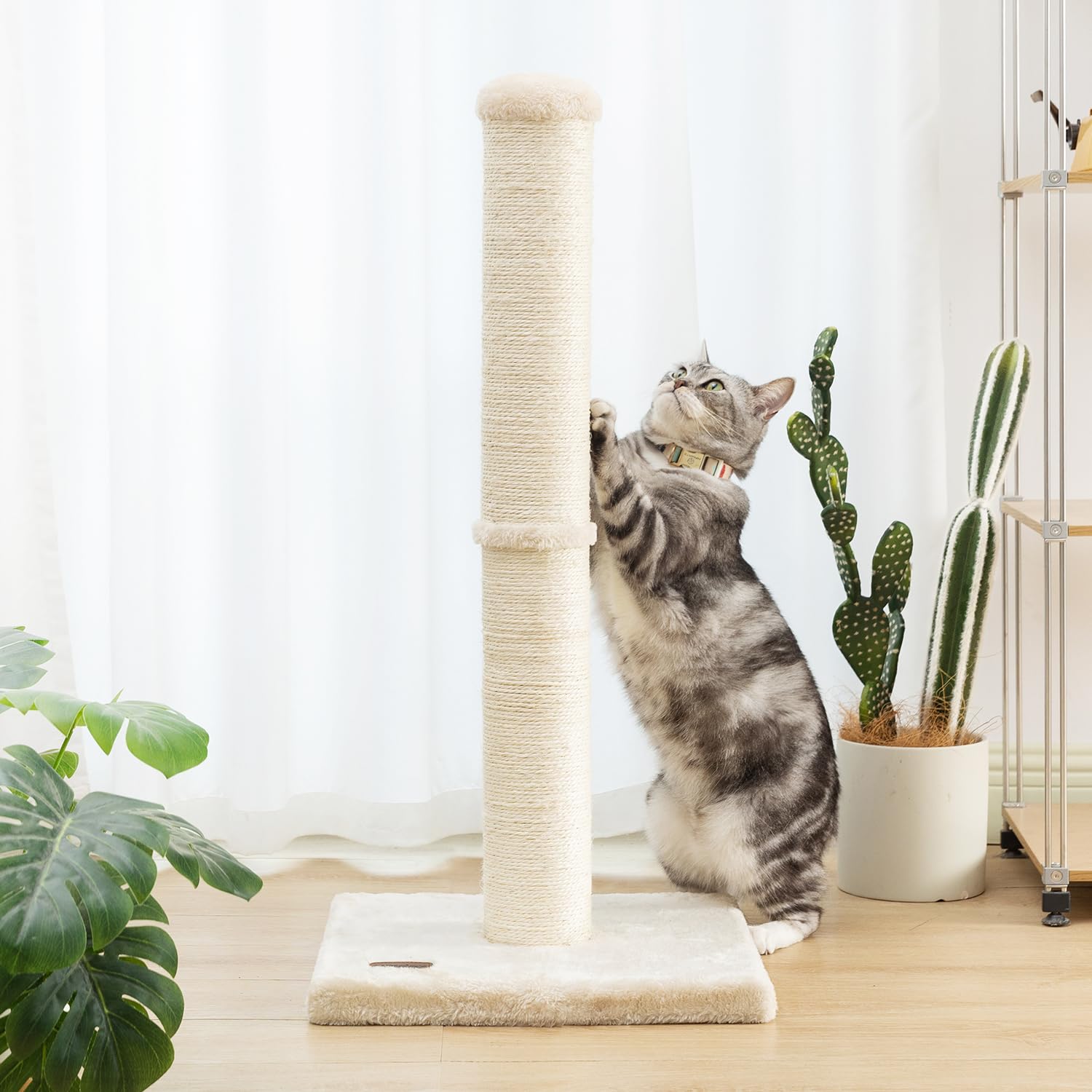 Karolpar montage-sans-outil-griffoir-chat-beige – montage rapide et simple