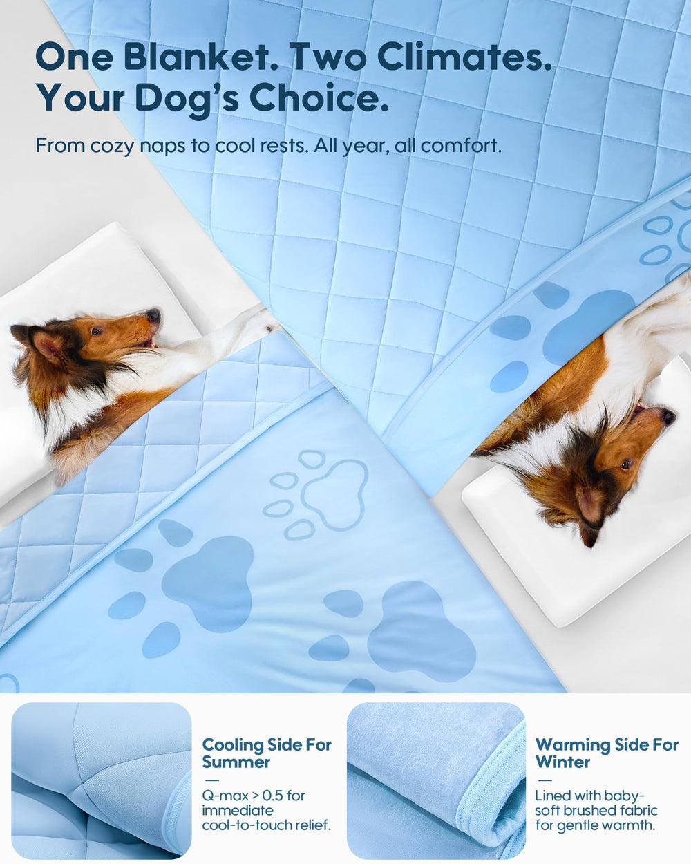 Kasbah couverture chien design double-face été/hiver