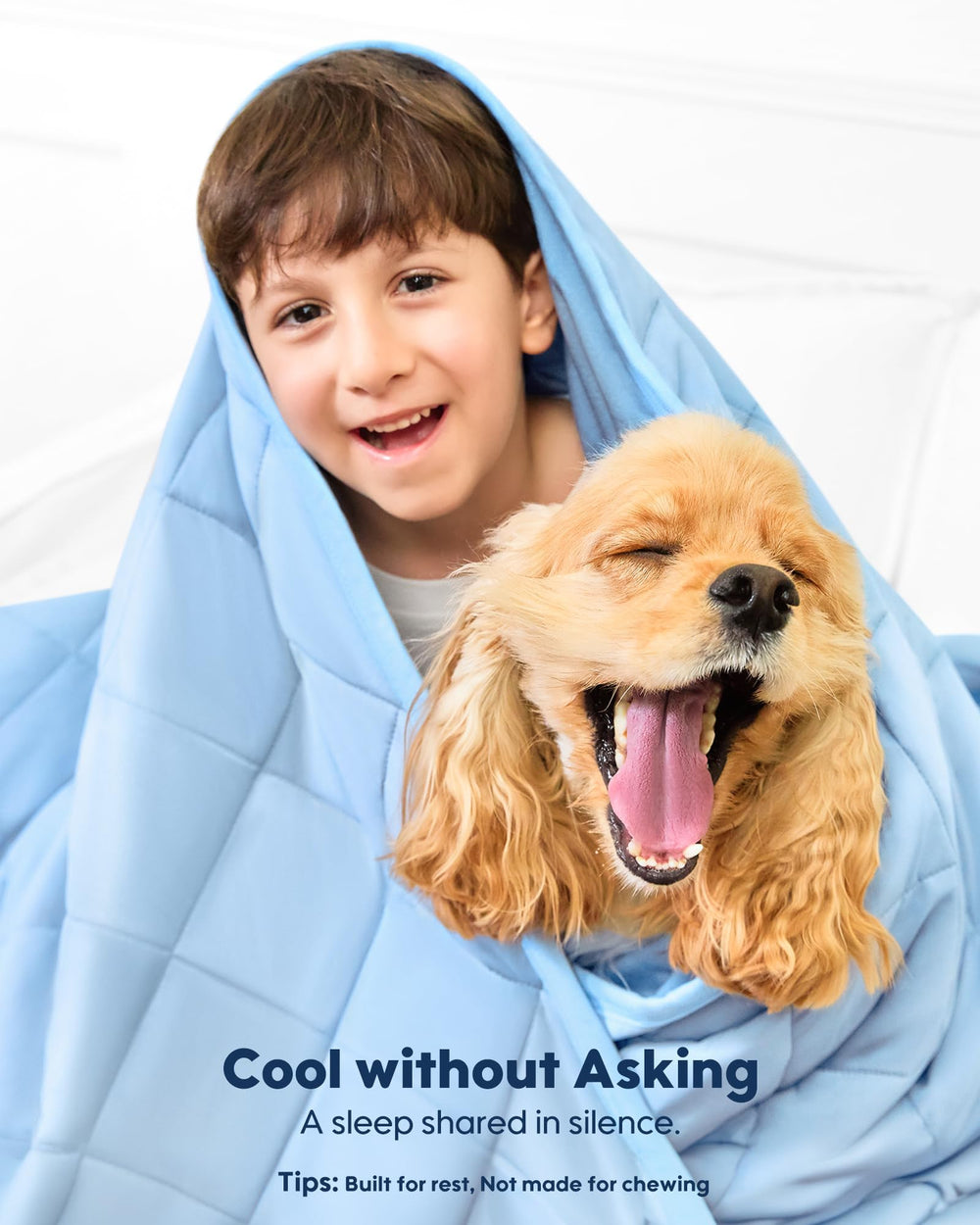 Kasbah couverture chien lavable en machine entretien facile