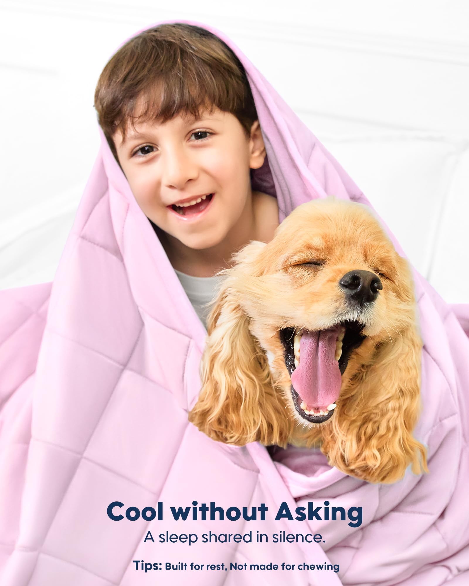Kasbah couverture velours cristal pour chien, toucher luxueux et confort.