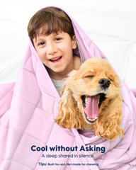 Kasbah couverture velours cristal pour chien, toucher luxueux et confort.