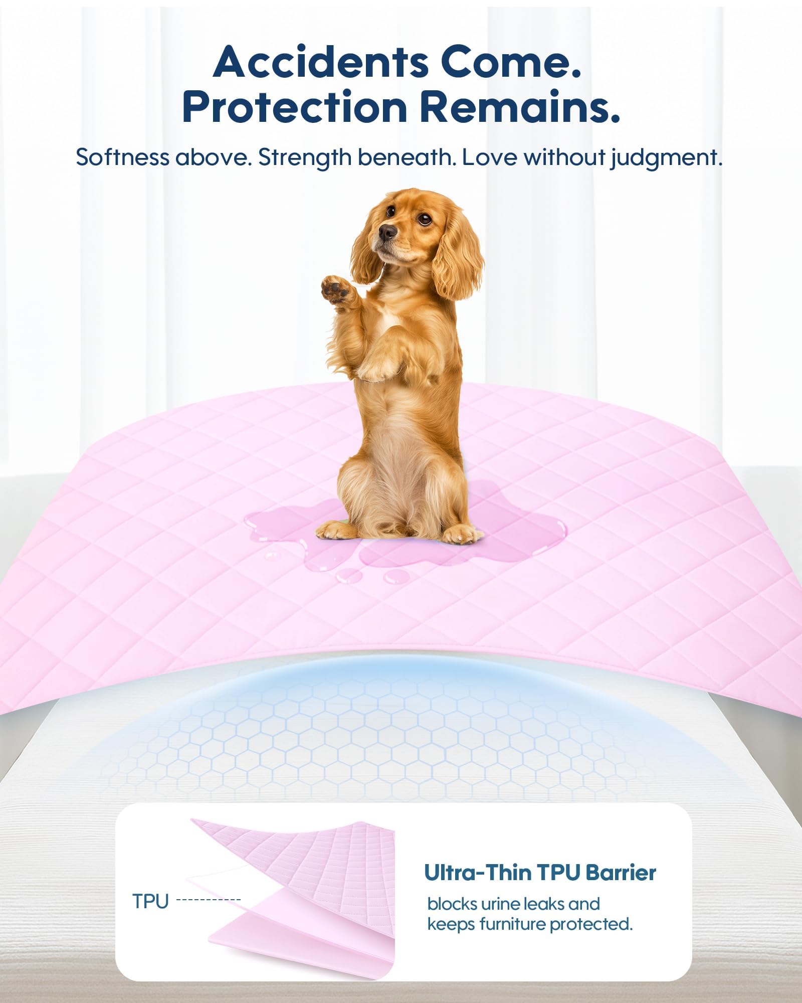 Kasbah tissu polyester rafraîchissant, surface respirante pour chien.