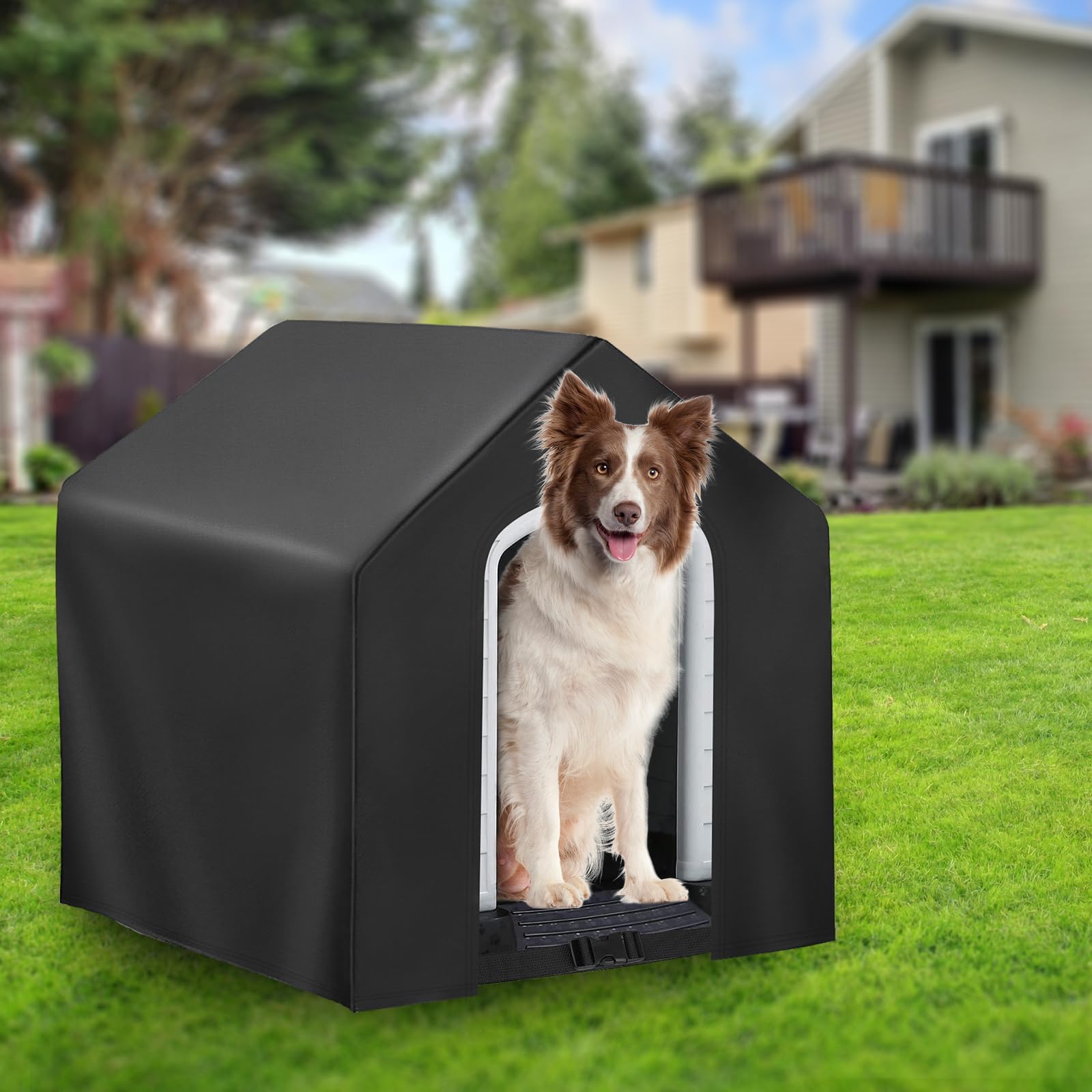 Kasla nettoyage facile couverture maison chien se nettoie rapidement avec un chiffon