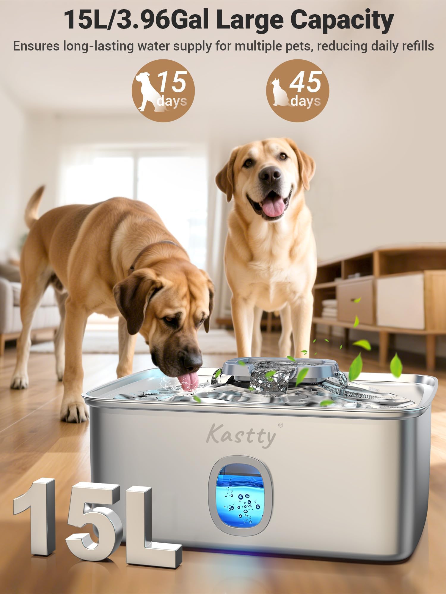 Kastty filtration 5 couches, eau plus propre pour votre chien.