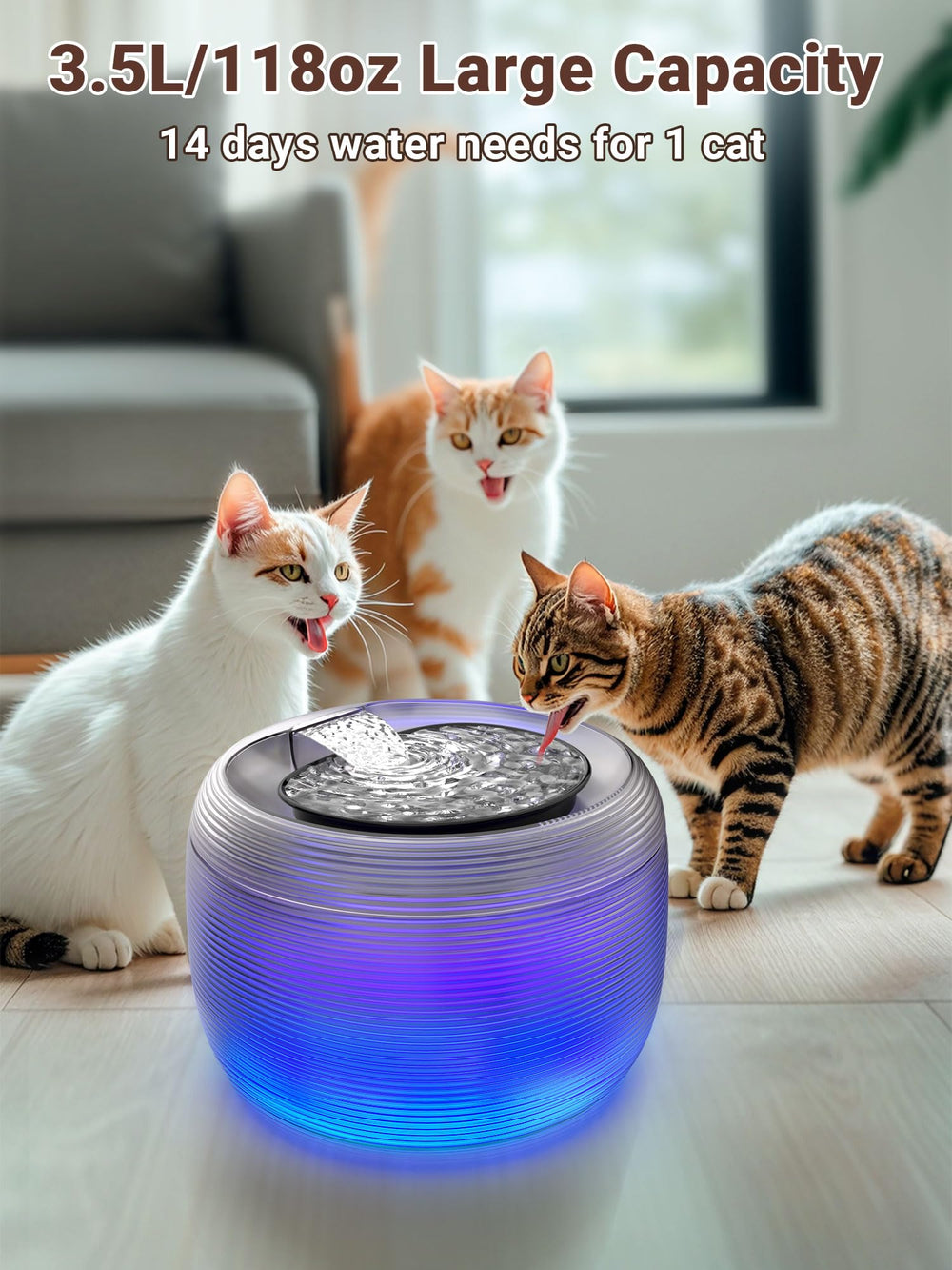 Kastty fontaine chat, lumière et vérification du niveau d'eau.