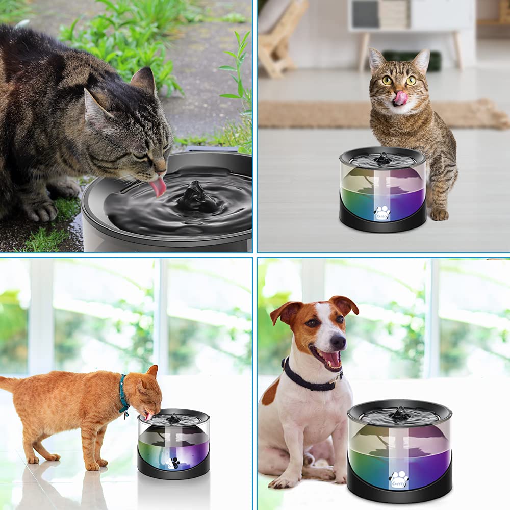 Utilisation intérieure et extérieure flexible, idéal pour chats et petits chiens.