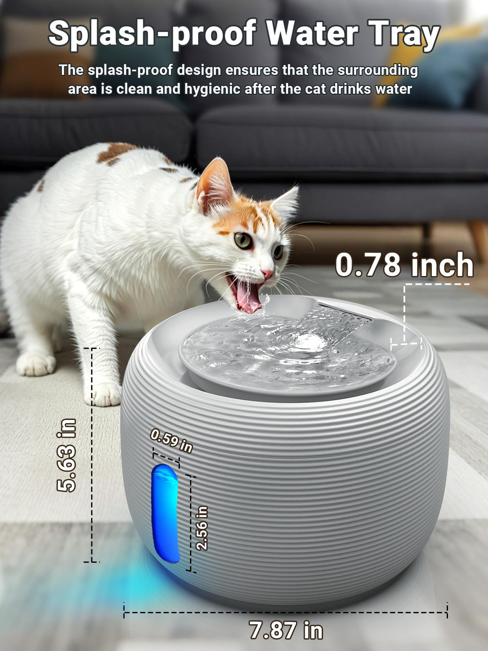 Kastty fontaine-chat-utilisation-nuit-lumiere: guide lumineux aide votre chat la nuit.