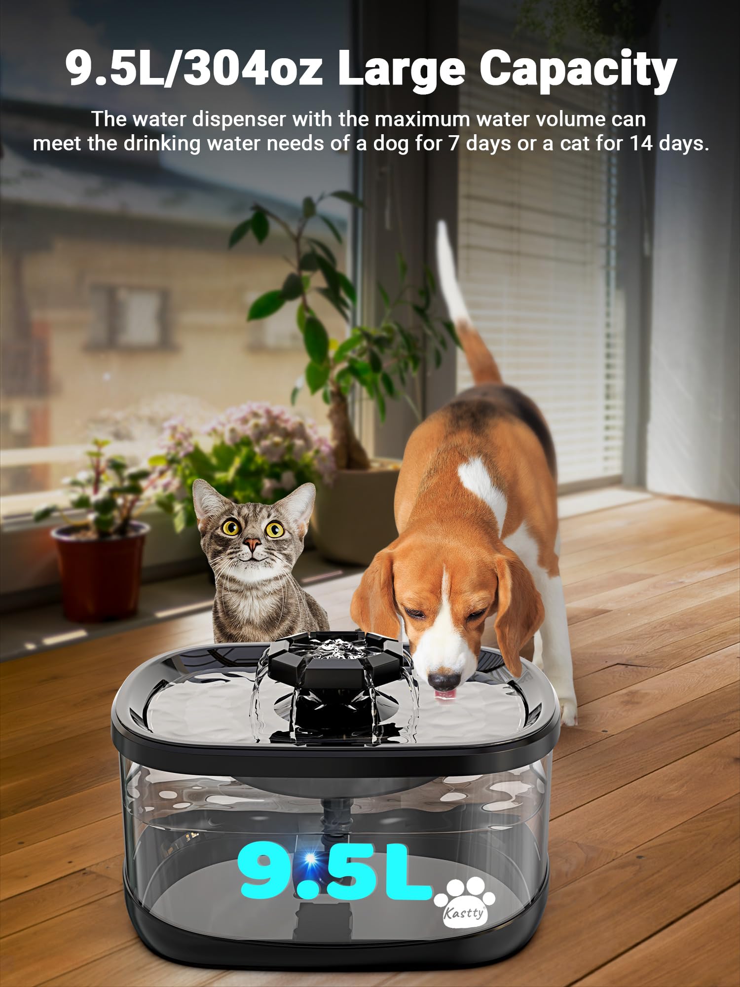fontaine kastty 2,5gal pour chats et chiens, grande capacité