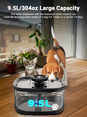 fontaine kastty 2,5gal pour chats et chiens, grande capacité