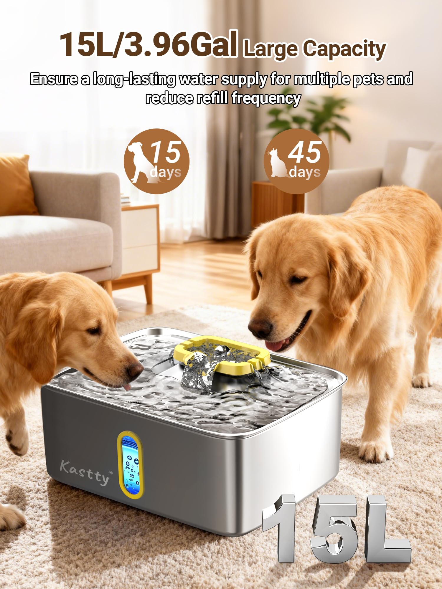 Kastty fontaine-eau-acier-inox-304 montre une construction robuste et durable.
