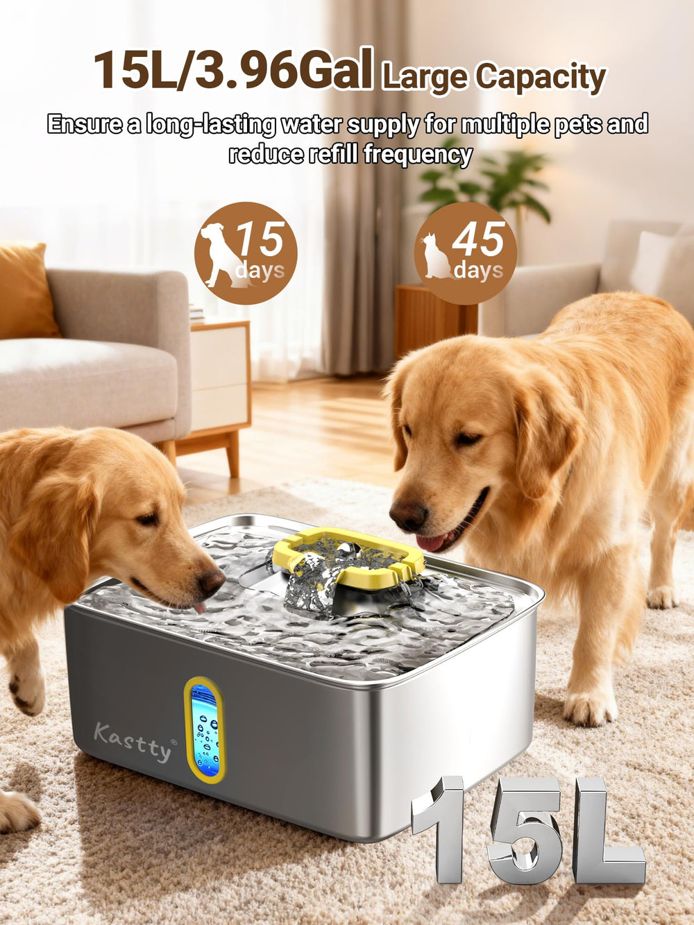 Kastty fontaine-eau-acier-inox-304 montre une construction robuste et durable.