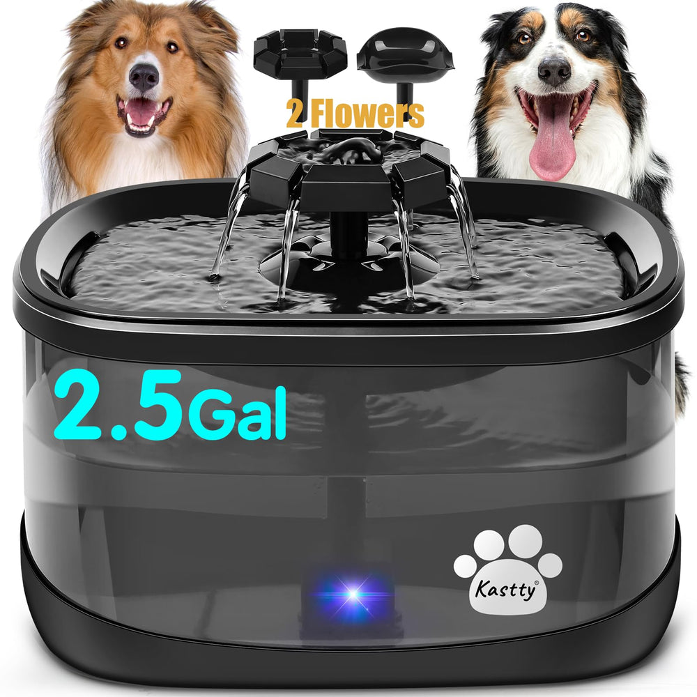 fontaine kastty pour chien avec 2 buses fleurs, stimule l'hydratation