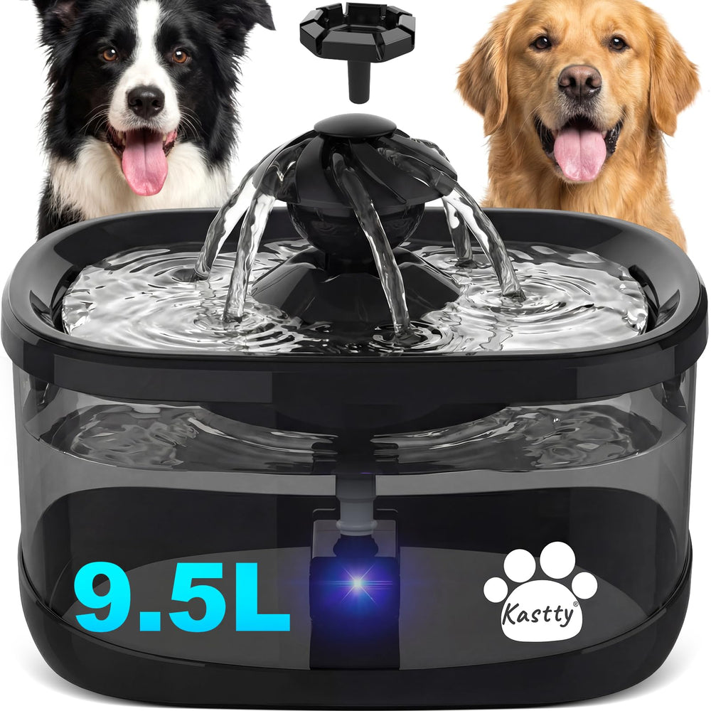 Fontaine Kastty chien avec grande capacite 9,5 L pour hydratation continue.