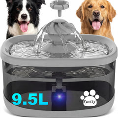 Kastty fontaine d'eau pour chien vue d'ensemble et hydratation fiable.