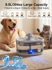 Kastty fontaine d'eau chien 9,5L grande capacité pour chiens actifs.
