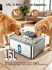 Kastty fontaine eau chien en acier inoxydable 304 durable et facile d entretien