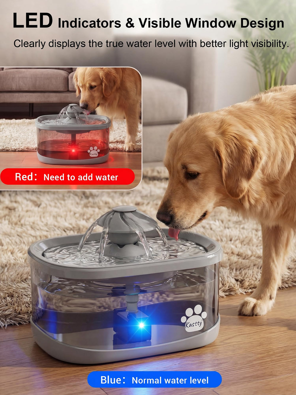 Kastty fontaine chien pompe silencieuse pour espace calme.