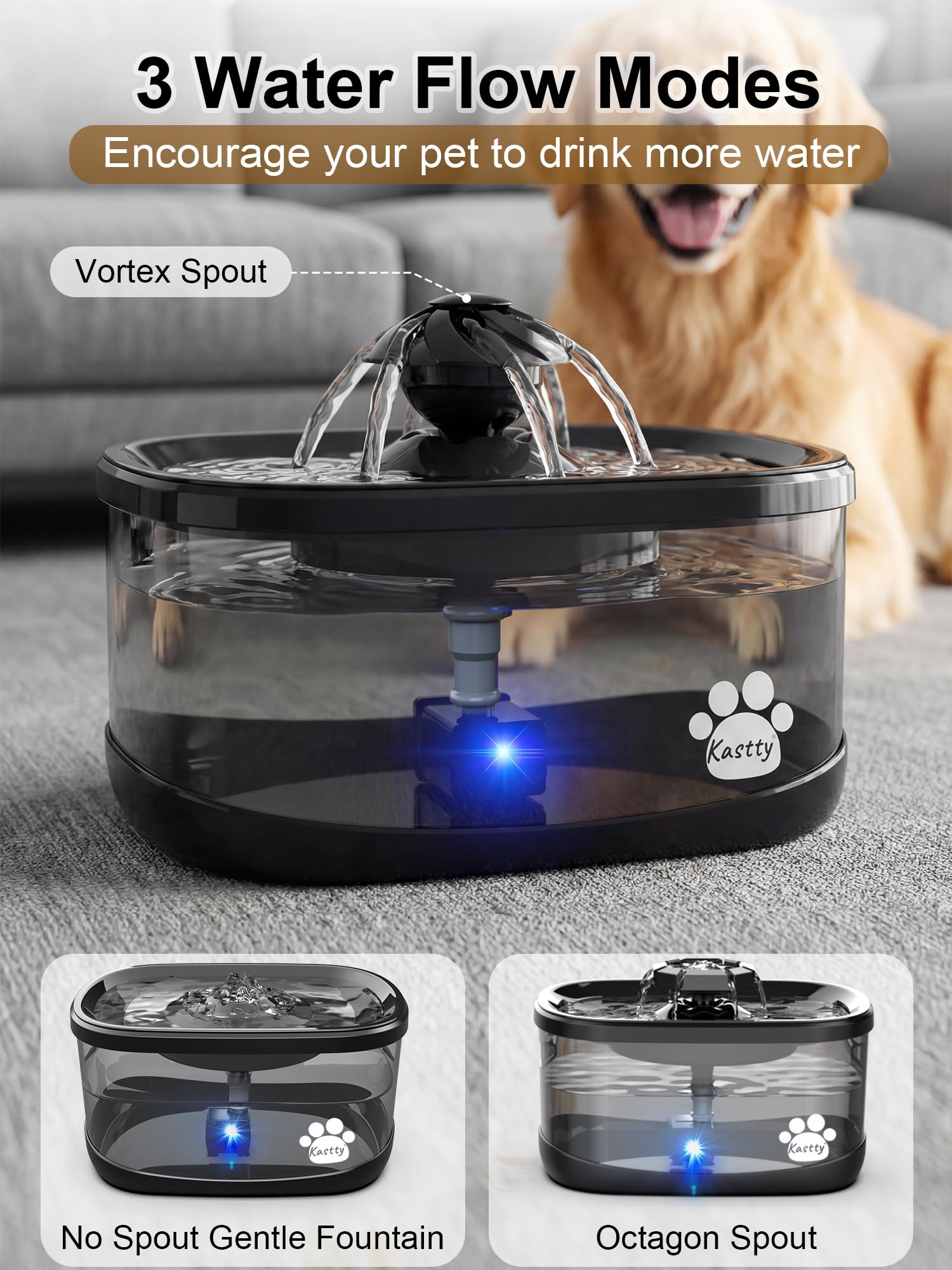 Recommandations d usage quotidien avec Kastty pour chiens.