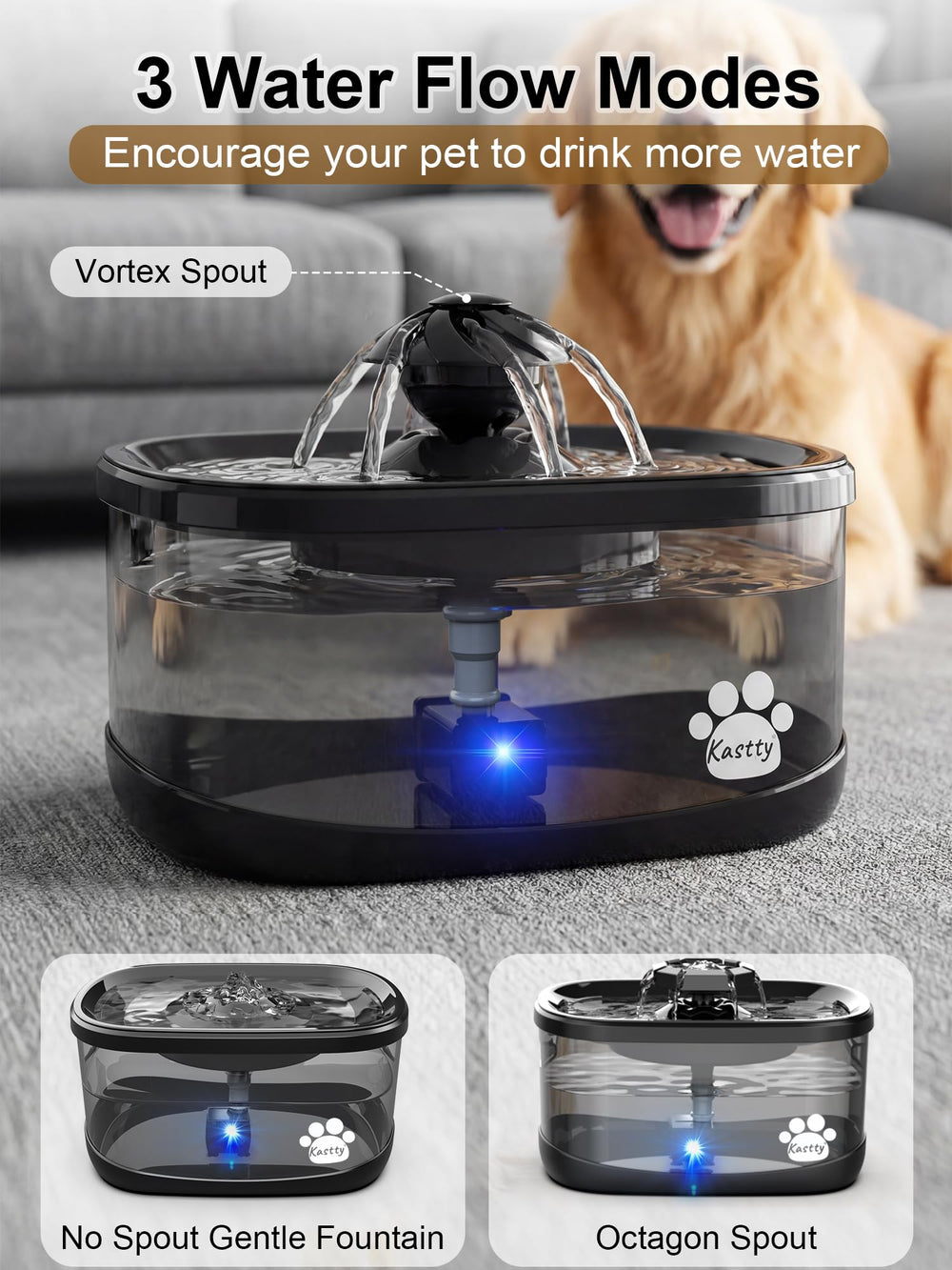 Recommandations d usage quotidien avec Kastty pour chiens.