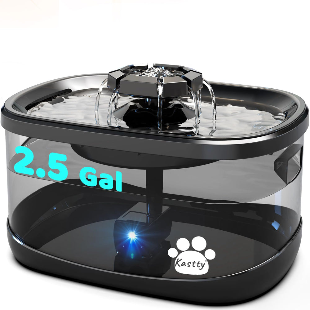 fontaine kastty pour maison multi animaux, convient chiens et chats