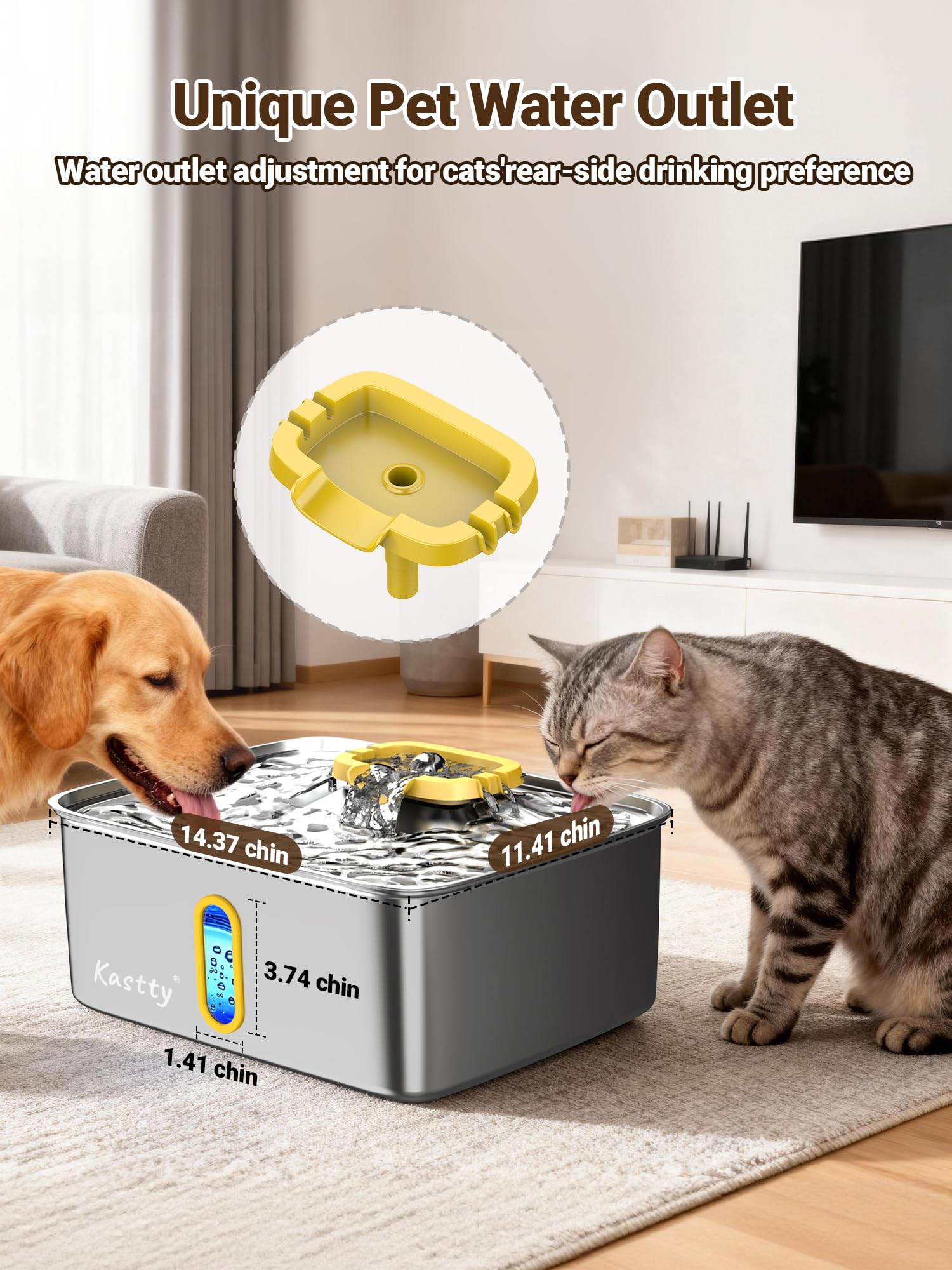 Kastty usage-plusieurs-animaux convient aux foyers avec plusieurs compagnons.
