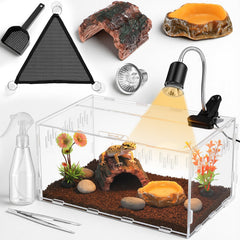 Kathfly terarium mini, bac transparent pour observation facile de votre animal