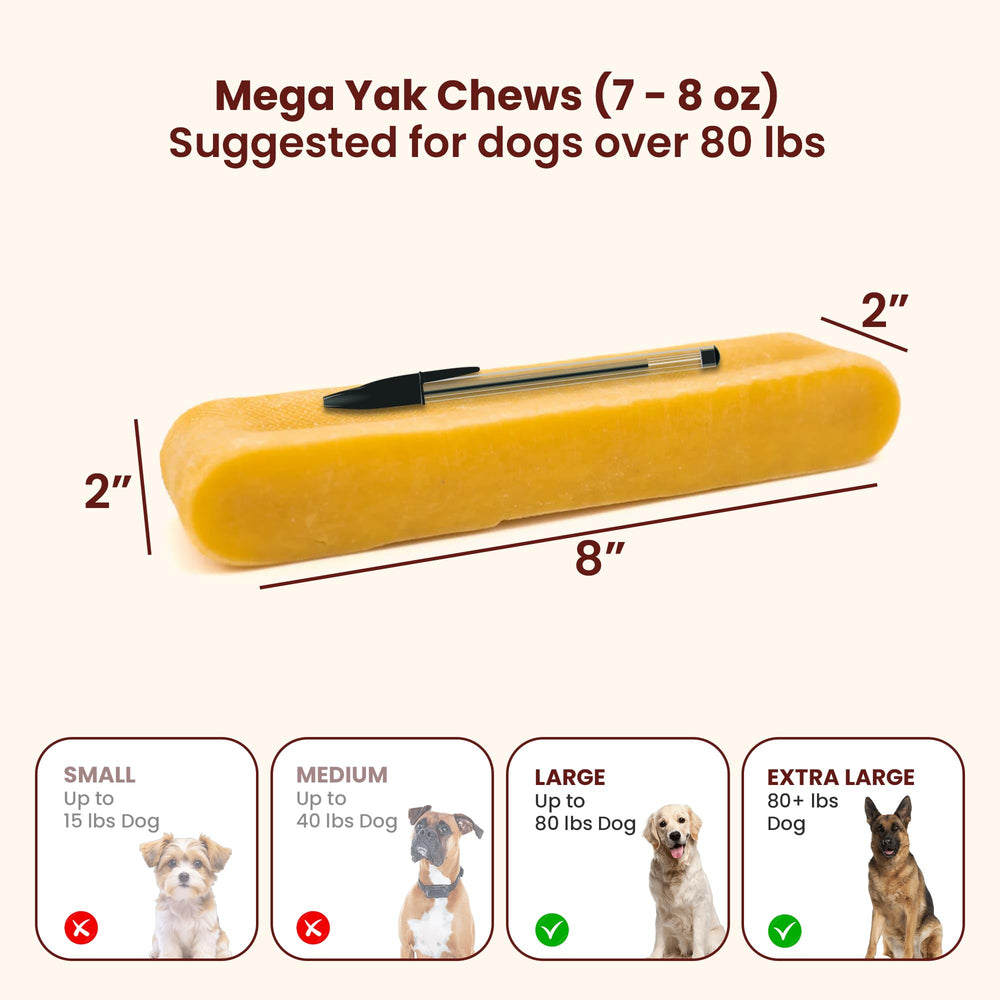 KATHMANDU'S Fromage Yak, soin dentaire naturel pour chiens