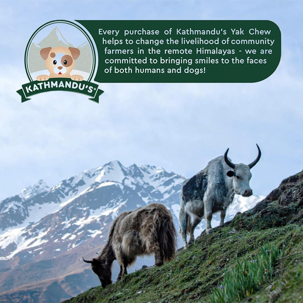 Sans additifs KATHMANDU'S Yak Cheese, friandise naturelle