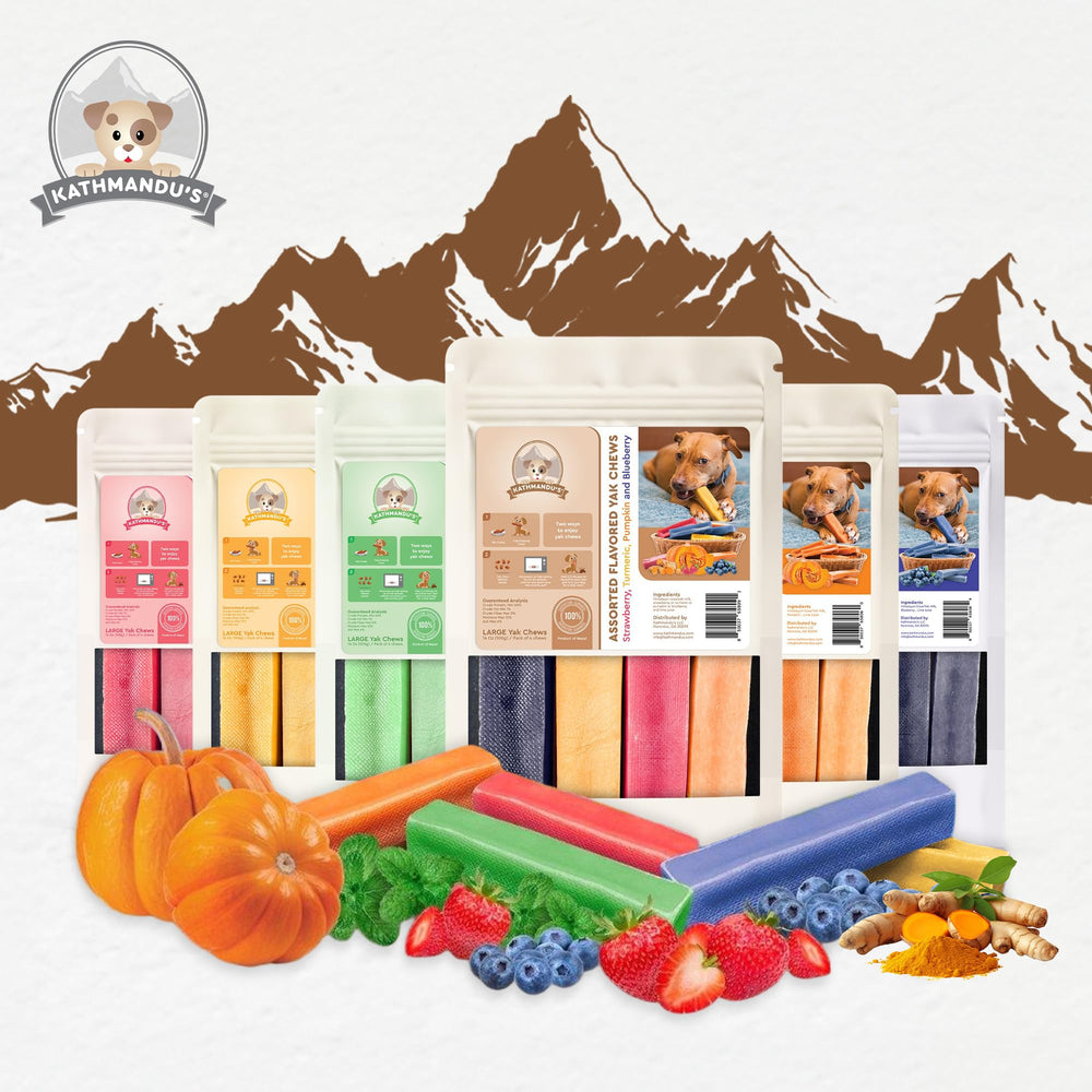 KATHMANDU'S friandises yak, longue durée, idéal pour grands chiens.