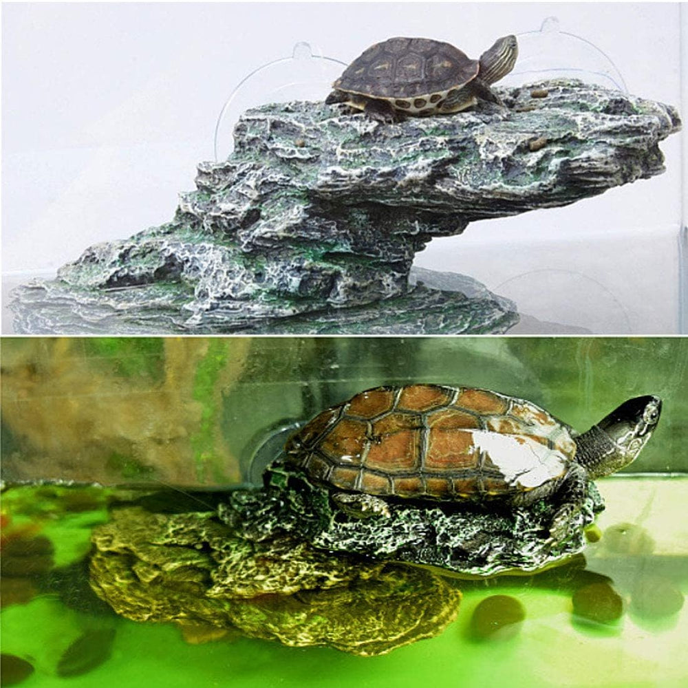 Kathson accessoire décoratif – utile pour aquarium et habitat, convient aux petits reptiles.