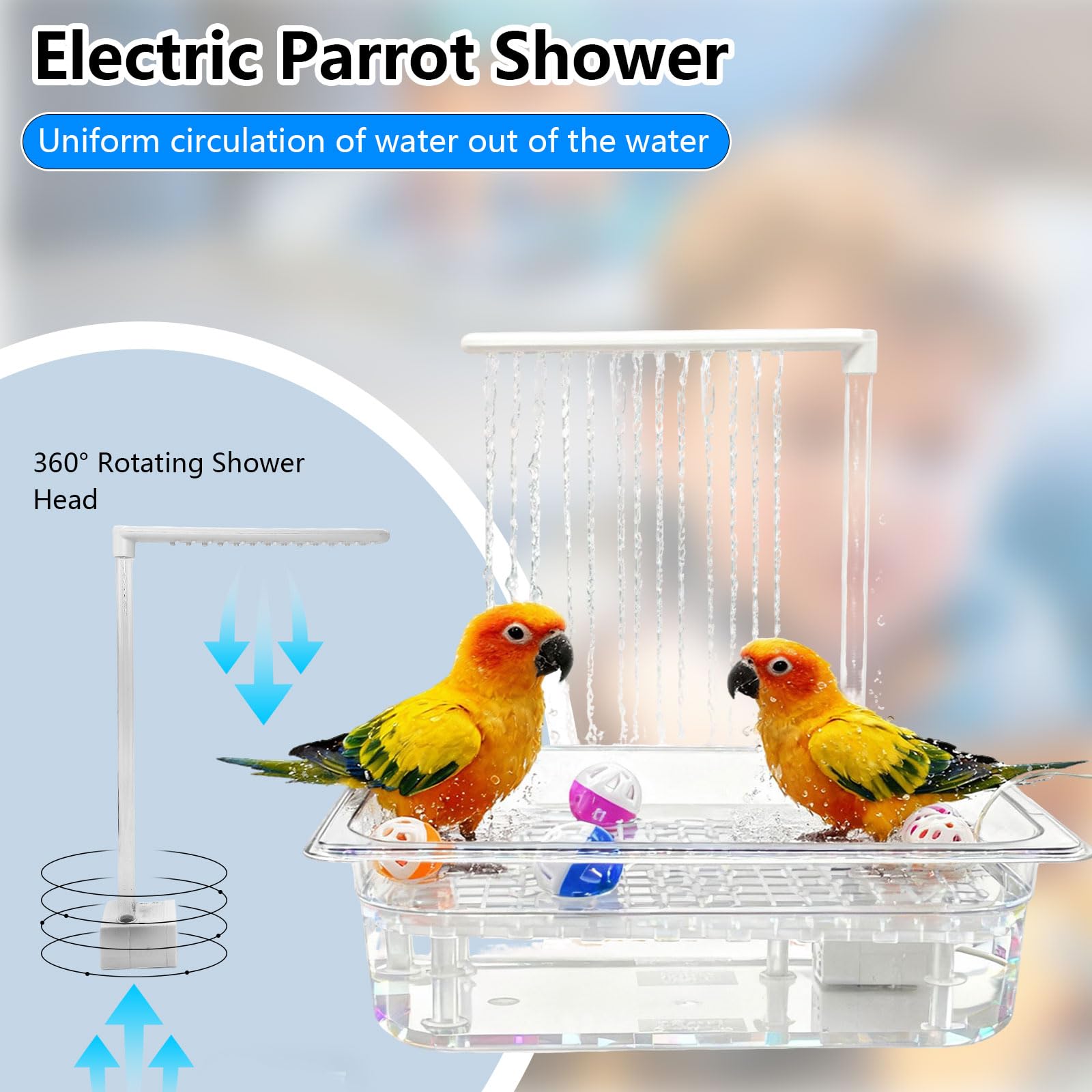Kathson-avantages-bains-oiseaux: nettoyage du plumage et plaisir du bain.
