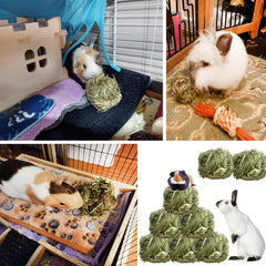 Balle herbe kathson pour hamster, encouragement à l’activité et au jeu.